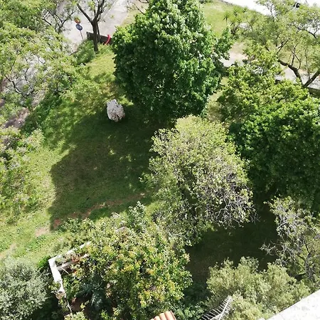 Vinika Ζαντάρ